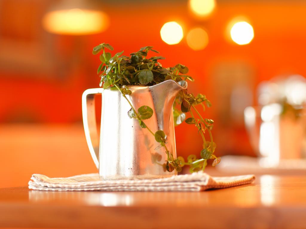 Hotel & Restaurant Zum Beck Stansstad Εξωτερικό φωτογραφία